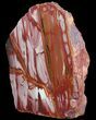 Magnificent, Tall Polished Munjina Stone - Australia #65484-1